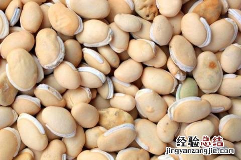 农村干什么行业能挣钱，项目多需选合适自己的