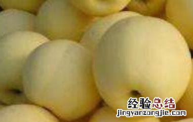 黄元帅的功效与作用 吃黄元帅的好处