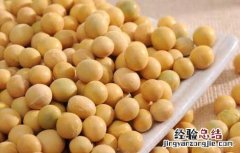 黄豆泡醋能减肥吗百度百科 黄豆泡醋能减肥吗