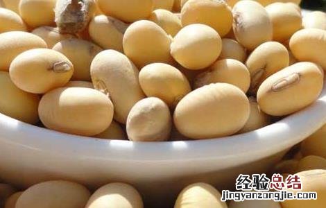 黄豆泡醋能减肥吗百度百科 黄豆泡醋能减肥吗