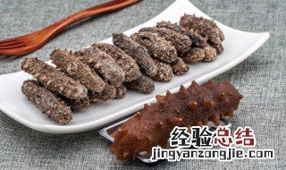 白刺参是海参吗 印尼白刺参是海参的一种吗
