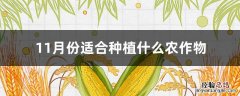 11月份适合种植什么农作物 十一月份适合种植什么农作物