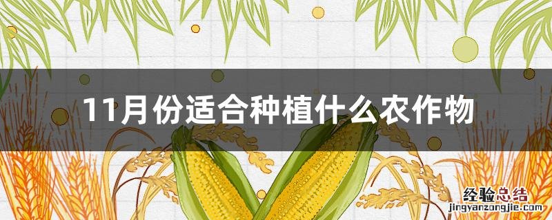 11月份适合种植什么农作物 十一月份适合种植什么农作物