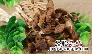 干货茶树菇需要泡多久 茶树菇泡多长时间最好