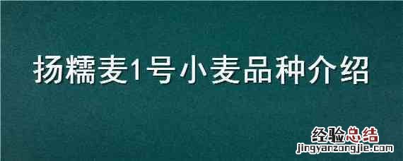 扬糯麦1号小麦品种介绍 吨麦21小麦品种简介