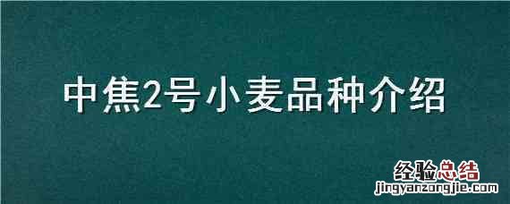 中焦2号小麦品种介绍视频 中焦2号小麦品种介绍