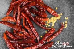 辣椒种子发芽适温是多少度 辣椒种子发芽适温是多少