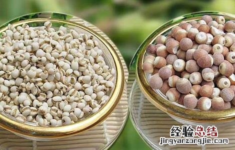 芡实有补肾的功效吗 芡实有补肾的功效吗
