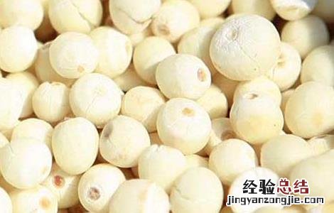 芡实有补肾的功效吗 芡实有补肾的功效吗
