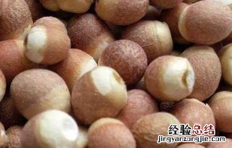 芡实有减肥功效吗 芡实有减肥功效吗