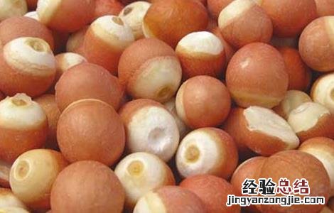 芡实有减肥功效吗 芡实有减肥功效吗