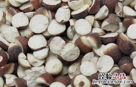 芡实有减肥功效吗 芡实有减肥功效吗