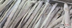 带鱼鱼头要不要 带鱼的鱼头