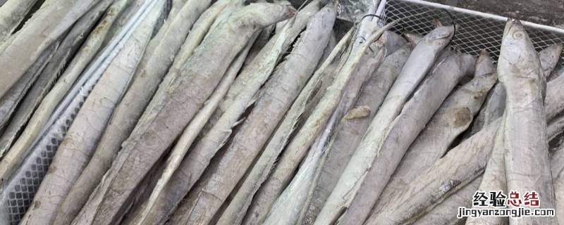 带鱼鱼头要不要 带鱼的鱼头