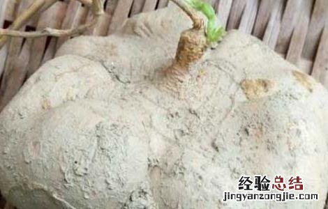 吃白地瓜可以减肥吗 吃白地瓜可以减肥吗女性