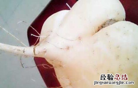吃白地瓜可以减肥吗 吃白地瓜可以减肥吗女性