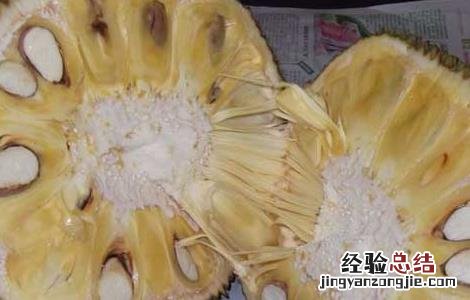 吃菠萝蜜过敏怎么处理 吃菠萝蜜过敏怎么办