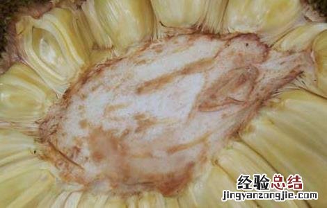 吃菠萝蜜过敏怎么处理 吃菠萝蜜过敏怎么办