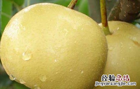 吃什么水果容易去火 经常吃什么水果能去火