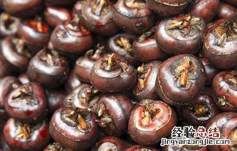 吃什么水果容易去火 经常吃什么水果能去火