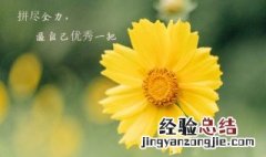 微信朋友圈励志说说 微信朋友圈励志说说短句