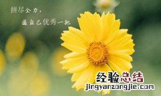 微信朋友圈励志说说 微信朋友圈励志说说短句