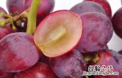 减肥可以吃红提吗不能超过多少 吃红提可以减肥吗