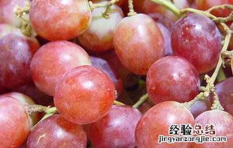 减肥可以吃红提吗不能超过多少 吃红提可以减肥吗