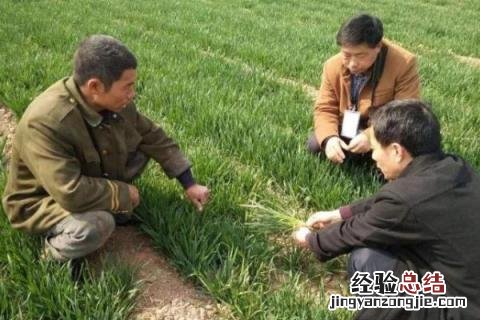 目前有什么致富的好项目 在家致富有哪些项目,项目小利润高