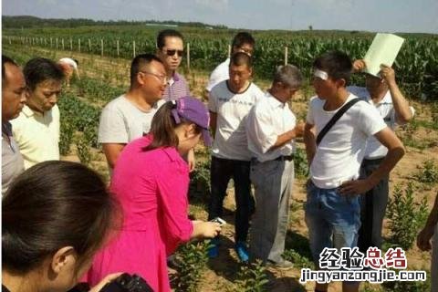 目前有什么致富的好项目 在家致富有哪些项目,项目小利润高
