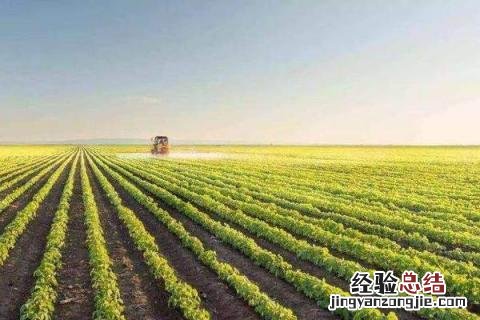农村如何创业致富 农村怎么创业致富
