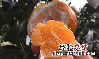 耙耙柑吃多了皮肤会变黄吗 粑粑柑吃多了皮肤会变黄吗