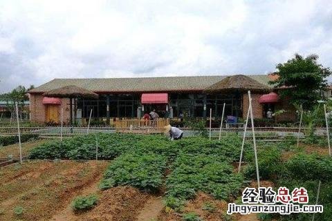 火爆生意有哪些，根据实际情况选择合适项目