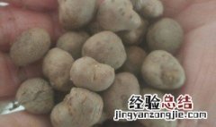 山药豆怎么存放 山药豆的存放方法