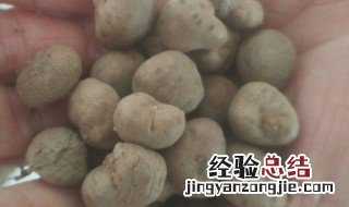 山药豆怎么存放 山药豆的存放方法