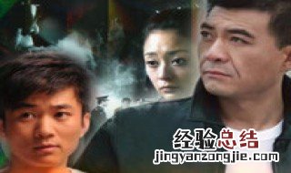 电视剧金叶行动一共多少集 讲述了什么内容呢
