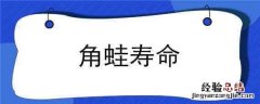 蝴蝶角蛙寿命 角蛙寿命