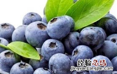 蓝莓怎么洗才干净怎么吃 蓝莓怎么洗才干净