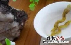 石斛如何泡水 石斛如何泡水作用