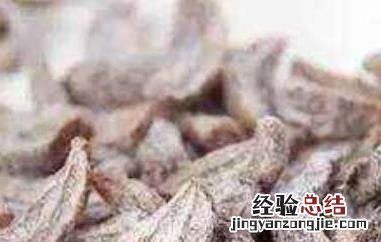 青津果的功效与作用禁忌 青津果的功效与作用