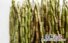 新鲜石斛怎么吃 新鲜石斛怎么吃,有什么攻效