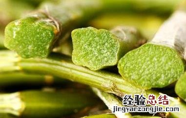 女人吃石斛害处 女人吃石斛害处中海