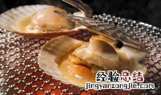裙边扇贝肉的做法 裙边扇贝肉的做法怎么处理方法