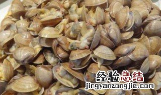 蚬子怎么存放 蚬子如何保存