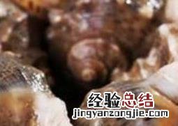 大海螺的营养价值高吗 大海螺的营养价值