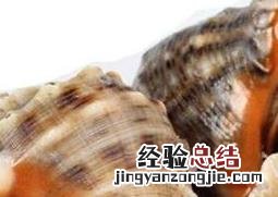 大海螺的营养价值高吗 大海螺的营养价值