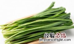 太婆韭菜怎么做 太婆韭菜怎么做最好吃