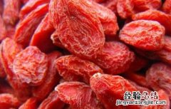 吃枸杞可以减肥吗? 吃枸杞子可以减肥吗