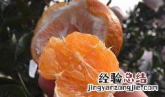 耙耙柑吃多了上火吗 四川耙耙柑吃了上火吗