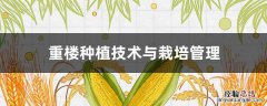 重楼种植技术与栽培管理的书 重楼种植技术与栽培管理